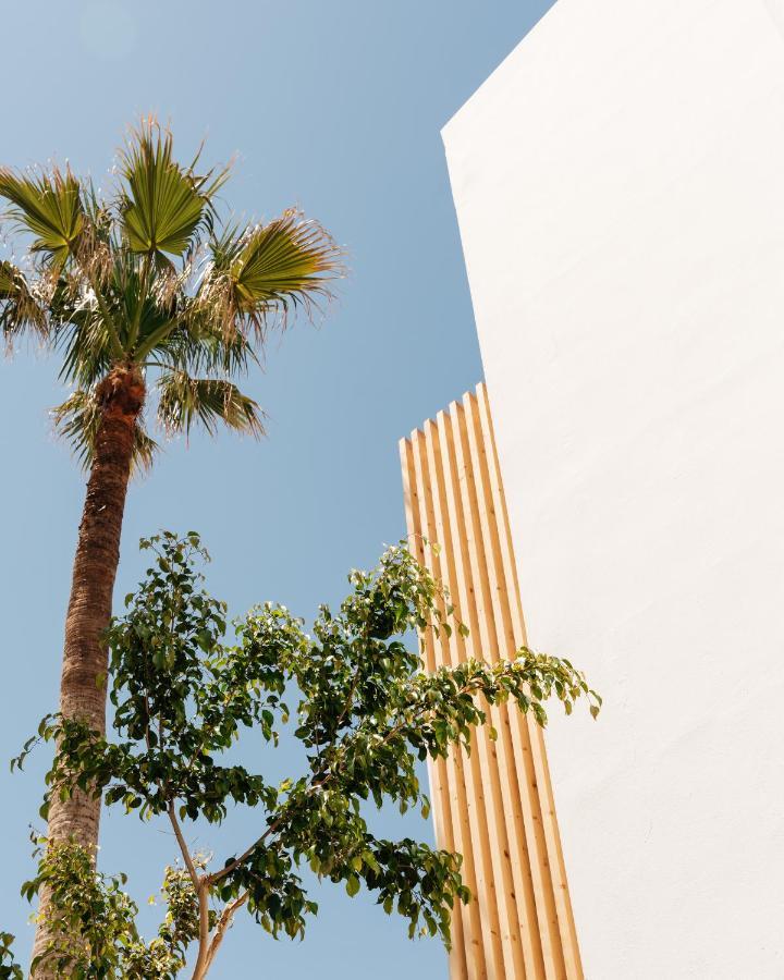 Petradi Beach Lounge Hotel Rethymno  Exterior photo